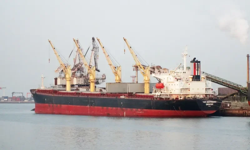 THOR INDEPENDENCE Bulk Carrier IMO 9222510 photo 10