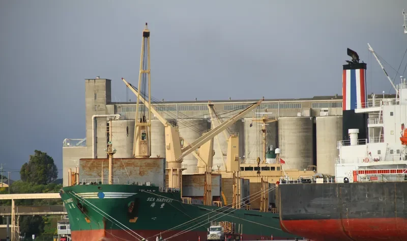 UNIVERSE HARMONY Bulk Carrier IMO 9222546 photo 8