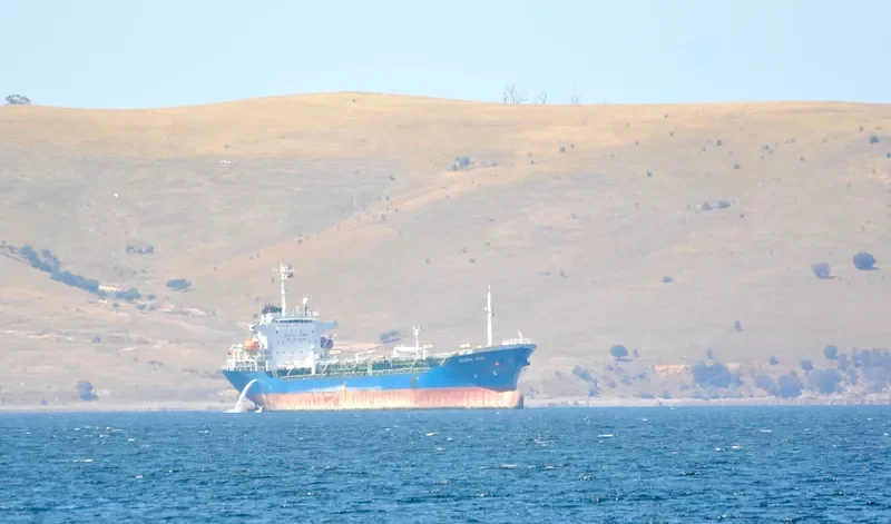 SUCCESS MARLINA XXXIII Tanker IMO 9222716 photo 9