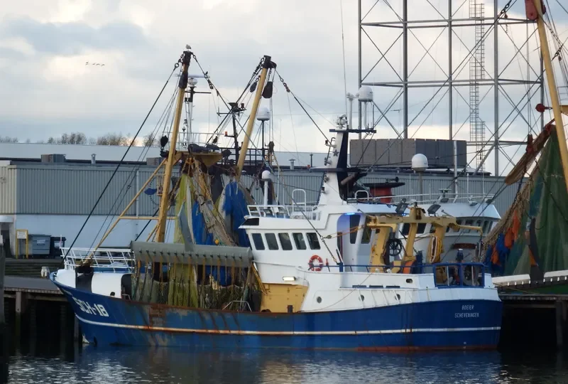 BOEIER General Cargo IMO 9223083 photo 3