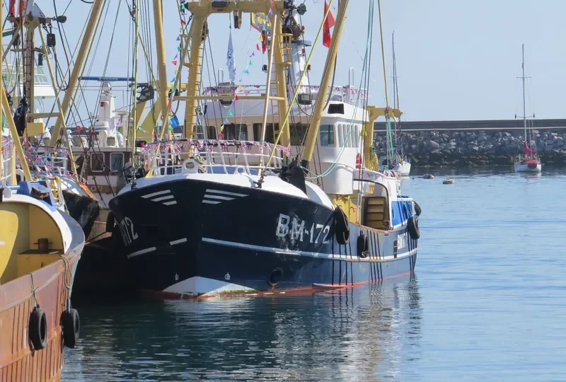 EMILY ROSE General Cargo IMO 9223095 photo 2