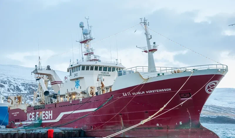VILHELM TORSTEINSSON General Cargo IMO 9223136
