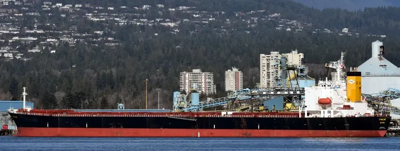 NAN XIN 7 Bulk Carrier IMO 9223198