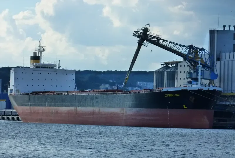 NAN XIN 7 Bulk Carrier IMO 9223198 photo 6