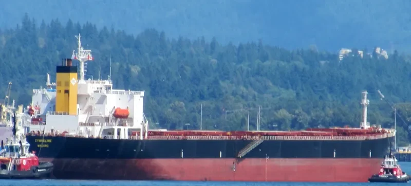 NAN XIN 7 Bulk Carrier IMO 9223198 photo 7
