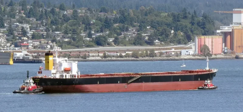NAN XIN 7 Bulk Carrier IMO 9223198 photo 9