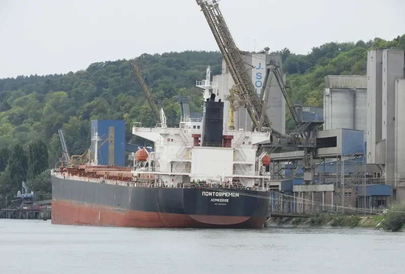 ASIA SPRING Bulk Carrier IMO 9223320 photo 2