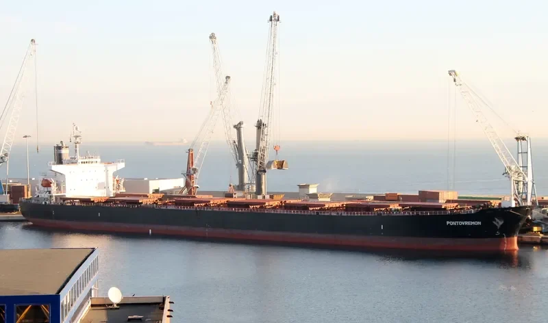 ASIA SPRING Bulk Carrier IMO 9223320 photo 4