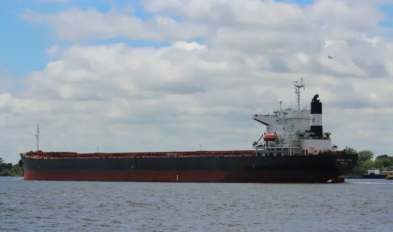 ASPASIA LUCK Bulk Carrier IMO 9223485