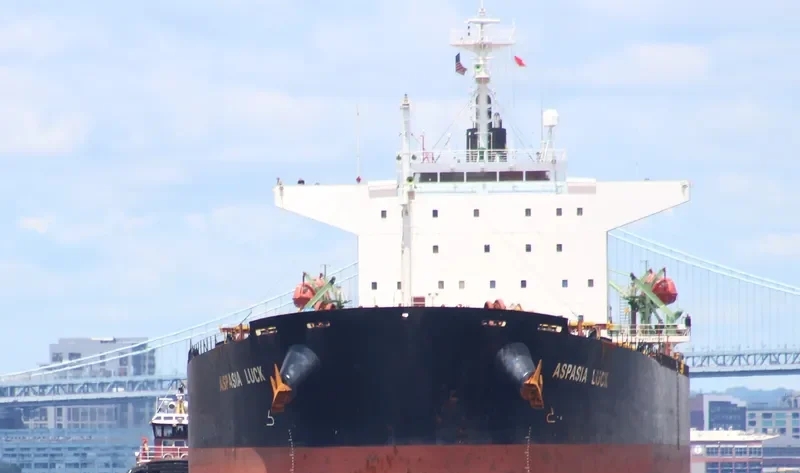 ASPASIA LUCK Bulk Carrier IMO 9223485 photo 3