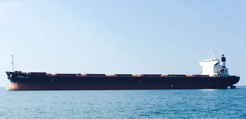 ASPASIA LUCK Bulk Carrier IMO 9223485 photo 7