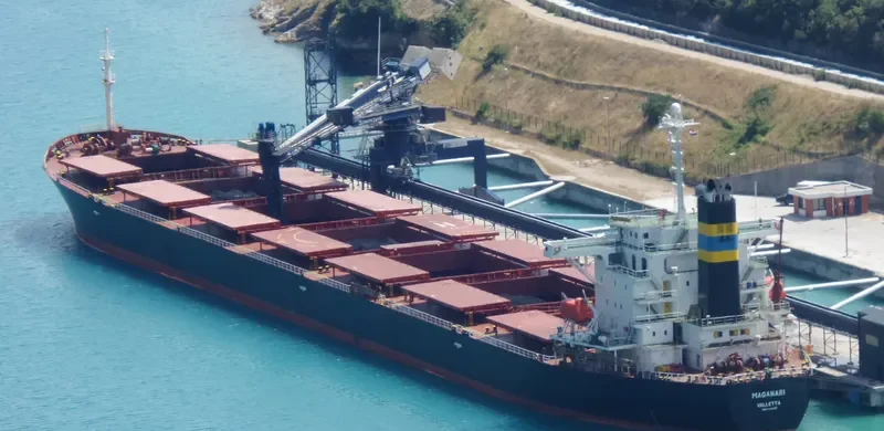 CHANG YANG JIN HE Bulk Carrier IMO 9223497 photo 9