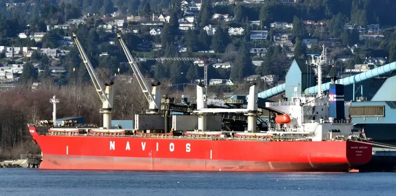 HUA SHENG 01 Bulk Carrier IMO 9223564 photo 9