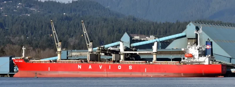 HUA SHENG 01 Bulk Carrier IMO 9223564 photo 10