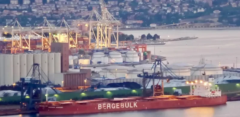 BERGE AORAKI Bulk Carrier IMO 9223590 photo 4