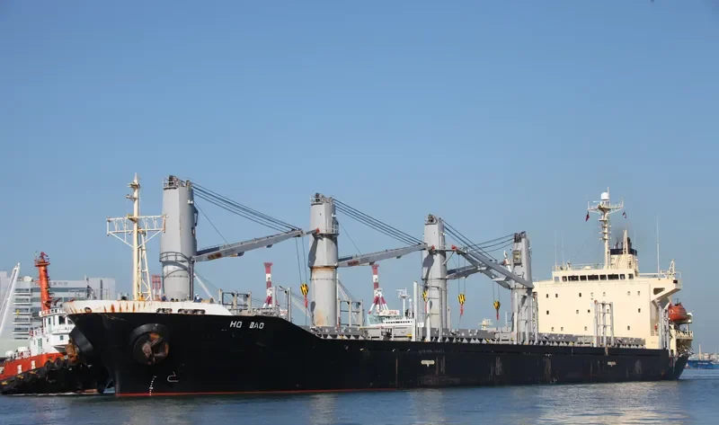 HO BAO Bulk Carrier IMO 9223631 photo 5