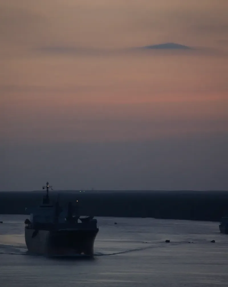 THANH THANH DAT 99 Bulk Carrier IMO 9223655