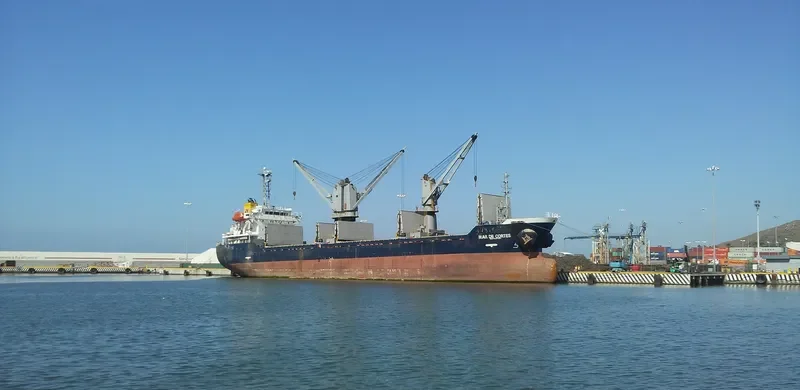 MAR DE CORTES Bulk Carrier IMO 9223667