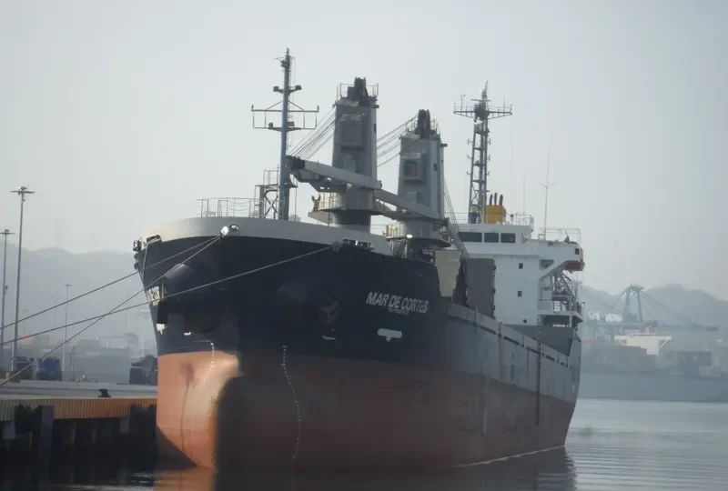 MAR DE CORTES Bulk Carrier IMO 9223667 photo 7