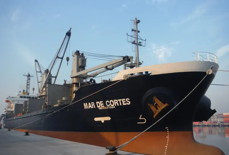 MAR DE CORTES Bulk Carrier IMO 9223667 photo 8