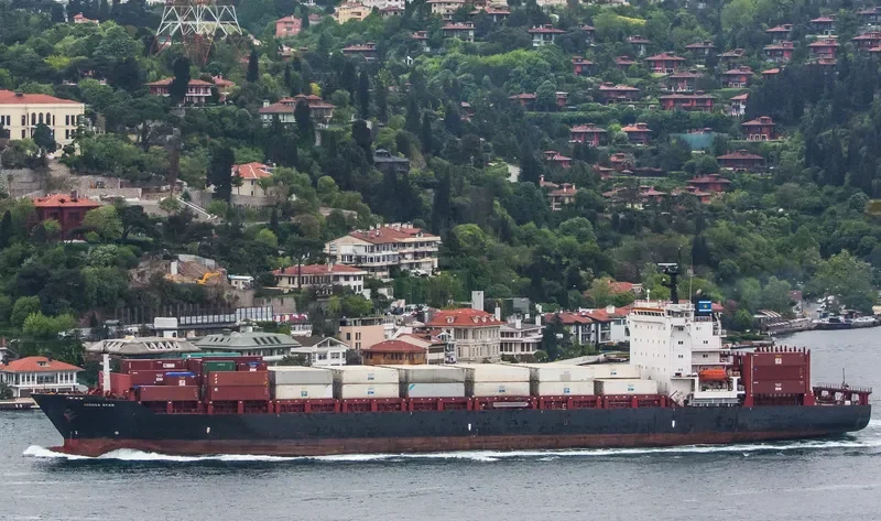 ODESSA STAR Container Ship IMO 9223746 photo 2