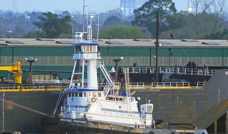 BROOKE CHAPMAN General Cargo IMO 9223875 photo 5