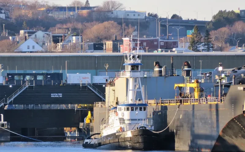 BROOKE CHAPMAN General Cargo IMO 9223875 photo 8