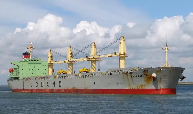 PACIFIC TAMARITA Bulk Carrier IMO 9223980