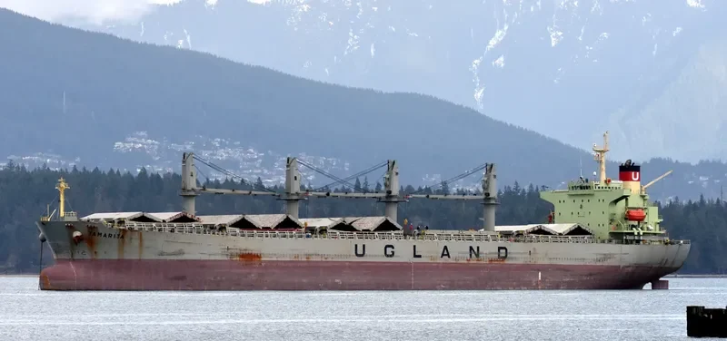 PACIFIC TAMARITA Bulk Carrier IMO 9223980 photo 4