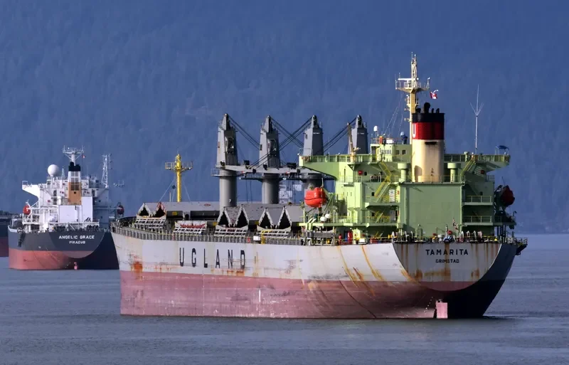 PACIFIC TAMARITA Bulk Carrier IMO 9223980 photo 6