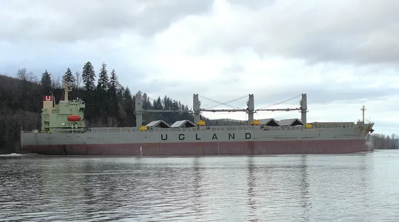 PACIFIC TAMARITA Bulk Carrier IMO 9223980 photo 9