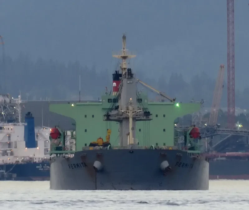 XIN HAI TONG 15 Bulk Carrier IMO 9223992