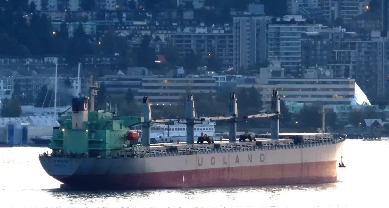 XIN HAI TONG 15 Bulk Carrier IMO 9223992 photo 2
