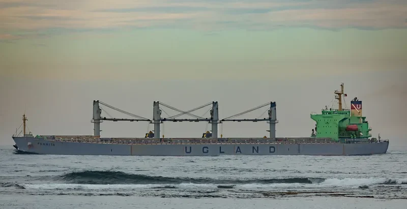 XIN HAI TONG 15 Bulk Carrier IMO 9223992 photo 6