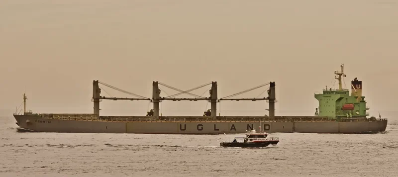 XIN HAI TONG 15 Bulk Carrier IMO 9223992 photo 8