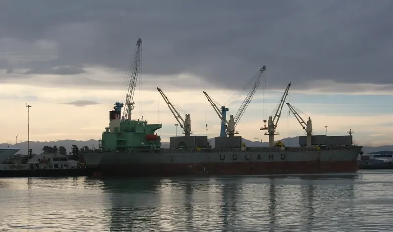 XIN HAI TONG 15 Bulk Carrier IMO 9223992 photo 10