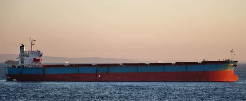 ANAIS Bulk Carrier IMO 9224025 photo 4