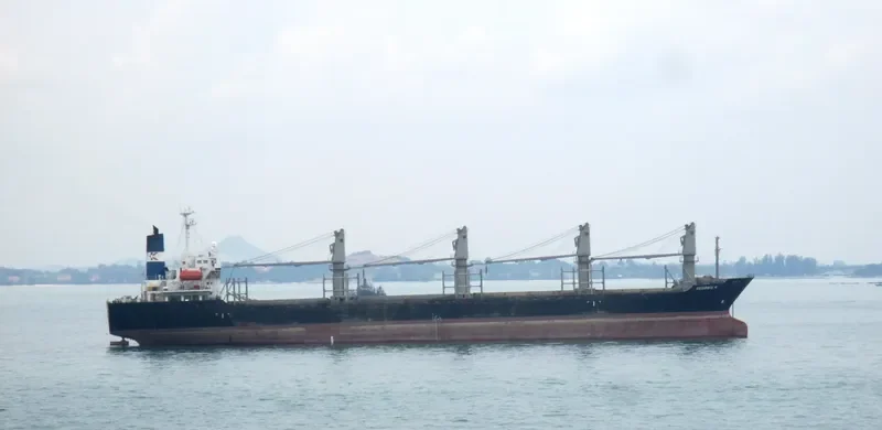 GEORGIA K Bulk Carrier IMO 9224099 photo 10