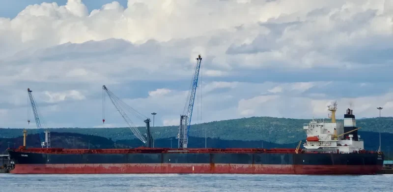 XIN YANG XIN SHI DAI Bulk Carrier IMO 9224477 photo 2