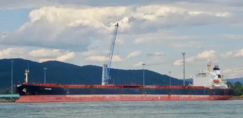 XIN YANG XIN SHI DAI Bulk Carrier IMO 9224477 photo 5