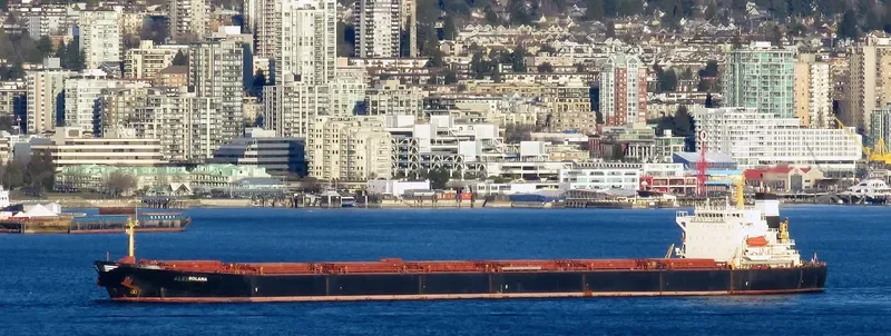 XIN YANG XIN SHI DAI Bulk Carrier IMO 9224477 photo 9