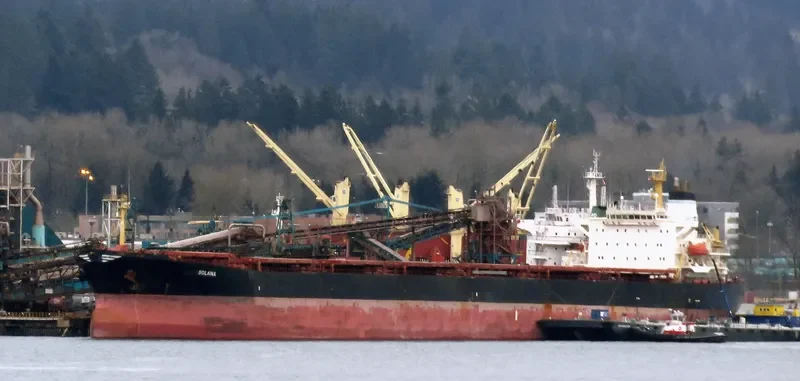XIN YANG XIN SHI DAI Bulk Carrier IMO 9224477 photo 10
