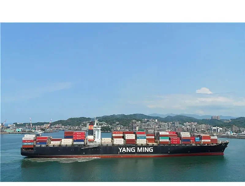 YM GREEN Container Ship IMO 9224491 photo 2