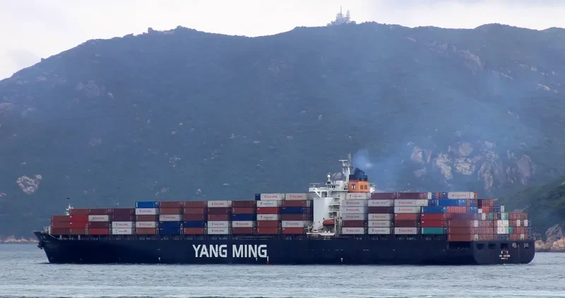 YM GREEN Container Ship IMO 9224491 photo 6