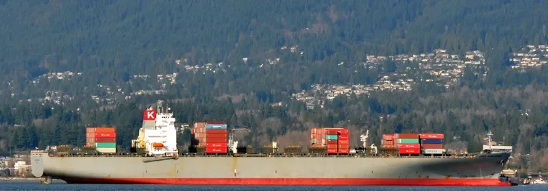 WAN HAI 613 Container Ship IMO 9224520 photo 8
