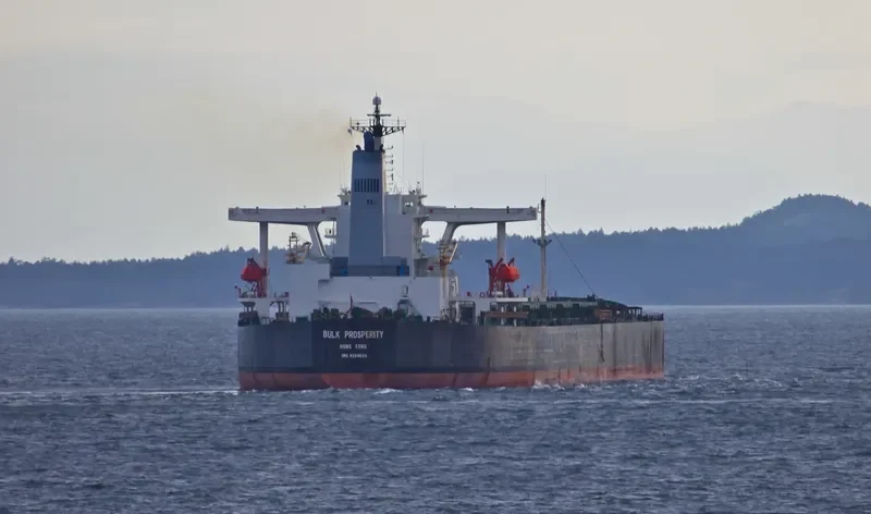 SHINYO BRILLIANCE Bulk Carrier IMO 9224635