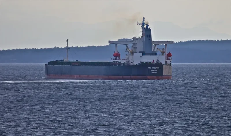 SHINYO BRILLIANCE Bulk Carrier IMO 9224635 photo 2