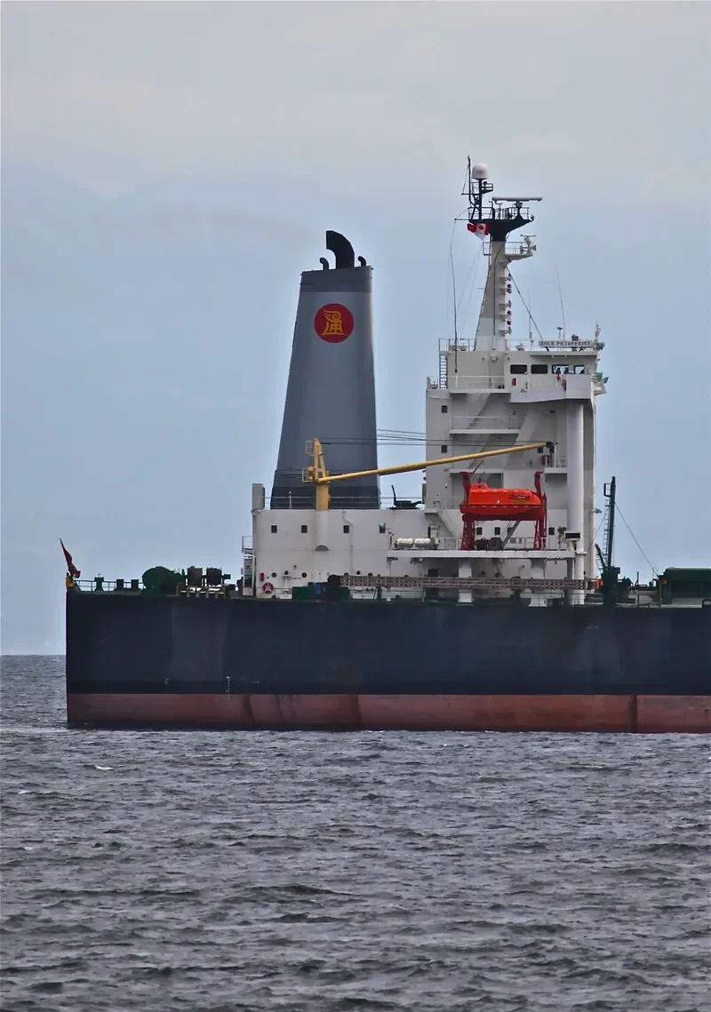 SHINYO BRILLIANCE Bulk Carrier IMO 9224635 photo 3