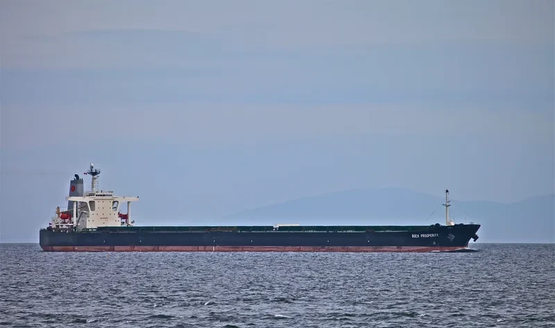 SHINYO BRILLIANCE Bulk Carrier IMO 9224635 photo 5