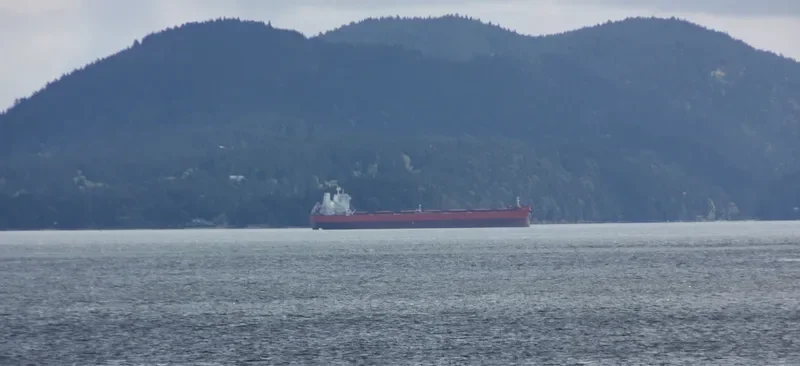SHINYO BRILLIANCE Bulk Carrier IMO 9224635 photo 6